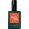 Anny Manucurist Žalias Flash Nagų lakas lakier do paznokci Sunset 15ml
