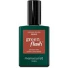 Anny Manucurist Žalias Flash Nagų lakas lakier do paznokci Brique 15ml