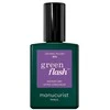 Collistar Manucurist Žalias Flash Nagų lakas lakier do paznokci Iris 15ml