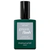 ANNY MANUCURIST_ Žalias Flash lakier do paznokci Mist Pilkas 15ml