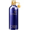 Montale Paris Aoud Ambre parfuminis purškiklis 100ml