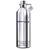 Montale Paris Montale Patchouli Leaves EDP parfumuotas vanduo unisex, 100 ml