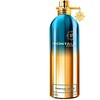 Montale Paris Tropical Wood parfuminio vandens purškiklis 100ml
