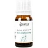 „Natur Planet“ eukalipto aliejus, 10 ml