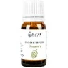 Natur Planet Pini Oil, 10 ml