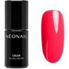 NeoNail UV Gel Polish Color Candy Girl Collection New Barbados Party, 7.2 ml