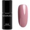 NeoNail UV Gel Polish Color Candy Girl Collection New Rosy Memory, 7.2 ml