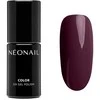 Neonail UV gelinis lakas Spalvotas hibridinis lakas Mysterious Tale 7.2ml