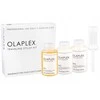 „Olaplex Traveling Stylist“ 3 dalis