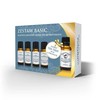 Dėklas Optima Natura Pagrindinis rinkinys Eukalipto eterinis aliejus 10ml + Pušų eterinis aliejus 10ml + Levandų eterinis aliejus 10ml + Apelsinų eterinis aliejus 10ml + Arbatmedžio eterinis aliejus 30ml
