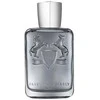 Parfums de Marly Castley EDP parfumuotas vanduo vyrams, 125 ml