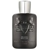Parfums De Marly Pegasus Exclusif PP kvepalai vyrams, 125 ml