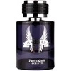 Pendora Scents Harrier EDP parfumuotas vanduo vyrams, 100 ml