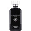 Pandora Scents Pendora Scents Montage For Men kvepalai vyrams, 100 ml