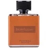 Pendora Scents Brown Elegant EDP parfumuotas vanduo vyrams, 100 ml