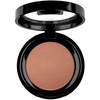 Pierre Rene Professional Rouge Powder 07, 6 g