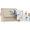 Tulip Rituals Amsterdam Collection Medium Giftset kūno priežiūros dovanų rinkinys