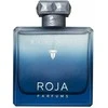 Roja Parfums Elysium Eau Intense EDP parfumuotas vanduo vyrams, 100 ml