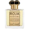 Roja Parfums Vetiver Pour Homme Parfum PP kvepalai vyrams, 50 ml