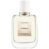 Roos &amp; Roos A Capella EDP parfumuotas vanduo moterims, 50 ml
