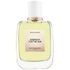 Roos &amp; Roos Sympathy For The Sun EDP parfumuotas vanduo moterims, 50 ml