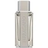 Salvatore Ferragamo Bright Leather tualetinio vandens purškiklis 100ml