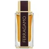 Salvatore Ferragamo Spicy Leather Special Edition EDP parfumuotas vanduo vyrams, 100 ml