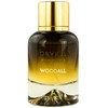 Sorvella Perfume Mountain Woodall parfuminio vandens purškiklis 50ml