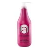 Plaukų spalvą tausojantis šampūnas Stapiz Acid Balance Acidifying 1000ml