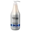Šampūnas šviesiems plaukams Stapiz Sleek Line Blond 1000ml