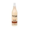 Stapiz Sleek Line Repair All In One Mask plaukų kaukė