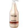 Stapiz Sleek Line Repair Šampūnas