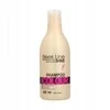 Šampūnas skirtas dažytiems plaukams Stapiz Sleek Line Colour 300ml