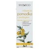 SYLVECO Pomadki do ust, 4.6 g