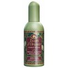 Tesori D'Oriente Tesori d´Oriente Forest Ritual EDP parfumuotas vanduo Unisex, 100 ml