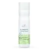 Raminamasis plaukų šampūnas Wella Professionals Elements Calming Šampūnas 250ml