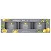 Yankee Candle Yankee žvakė su užpilu „Juodas arbata ir citrina“, 3 x 37 g