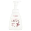 Ziaja Intimate Foam Wash Cranberry Nectar Intimate Cosmetics moterims, 250 ml