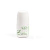 Ziaja žalia alyvuogių lapai, 60 ml