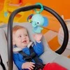 Bright Stars „Bright Starts“ – sulankstoma sporto salė „Wild Wiggles“ – (BS-16814)