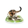 Hagen Catit Senses 2.0 Oval Scratcher, skirtas Catit vikšrai