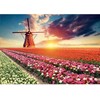 Tulip Educa Dėlionė (puzzle)1500 TULPIŲ PEIZAŽAS 12-99 metų