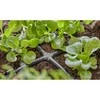 Gardena Micro-Drip sistema - 4,6 mm (3/16") 10 vnt., 13214-20