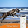 GPS sekiklis šunims - Weenect XS (Juodas leidimas 2023)