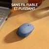 LOGITECH M171 Belaidė pelė - Mėlynas Pilkas