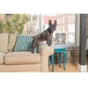 PetSafe Bark Control Collar antkaklis nuo lojimo/kaukimo su 6 lygių impulsu šunims