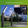 Philips Outdoor luminaires, Outdoor pedestal/post lighting, Pilkas, IP44, Garden, Patio, I, Garden, Patio