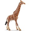 Schleich figūrėlė Žirafos patinas