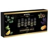 Drėkintuvas Kvapieji aliejai - 6 vnt. rinkinys, 10 ml, Ruhhy 21939