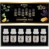Drėkintuvas Kvapieji aliejai - 6 vnt. rinkinys, 10 ml, Ruhhy 21939